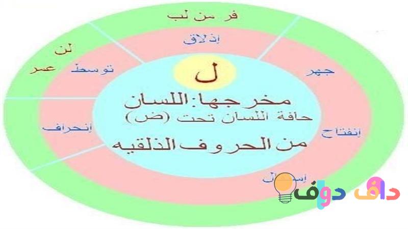 حرف الطا معناه، استخداماته، وأثره في اللغة والثقافة السعودية